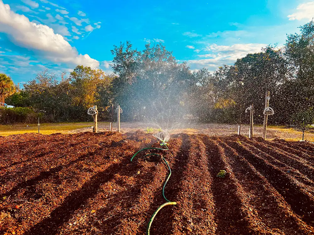 The Ellison Outreach Foundation, Inc. Launches Grow Together Project in Ghana to Combat Food Insecurity